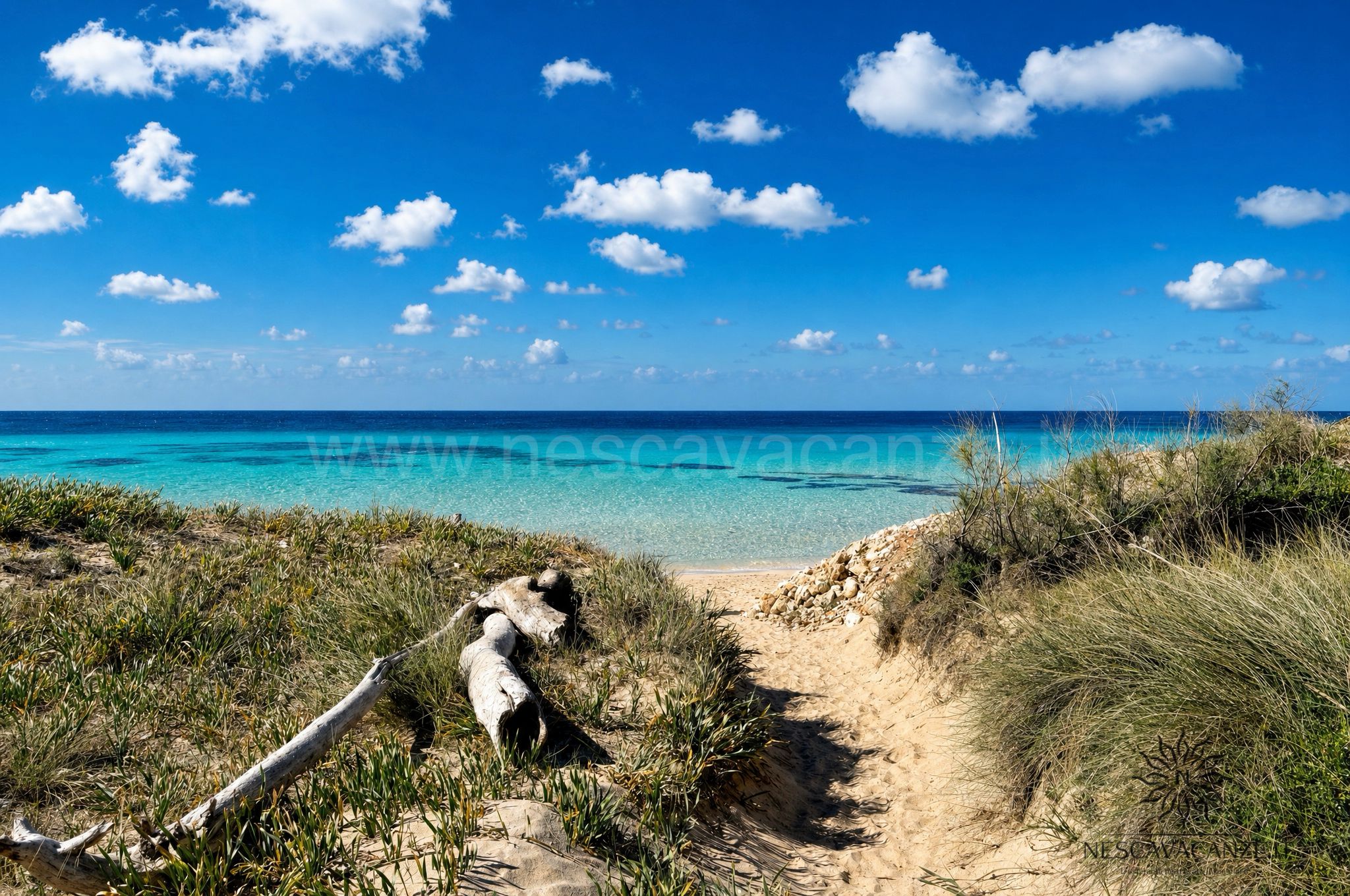 Pescoluse - sentiero di sabbia tra la vegetazione mediterranea che porta alla spiaggia e al mare cristallino.