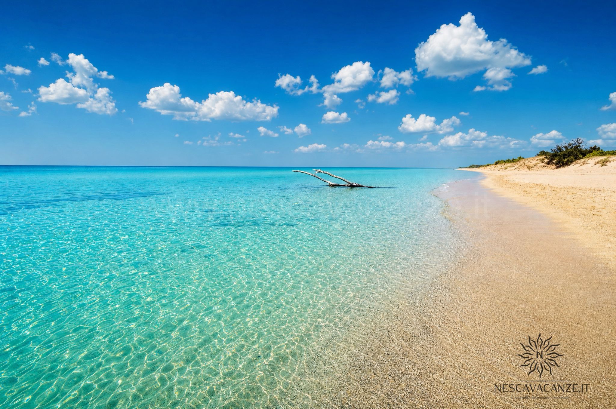 Mare turchese e cielo estivo a Pescoluse