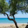 Spiaggia e mare a Lendinuso tra i tamerici