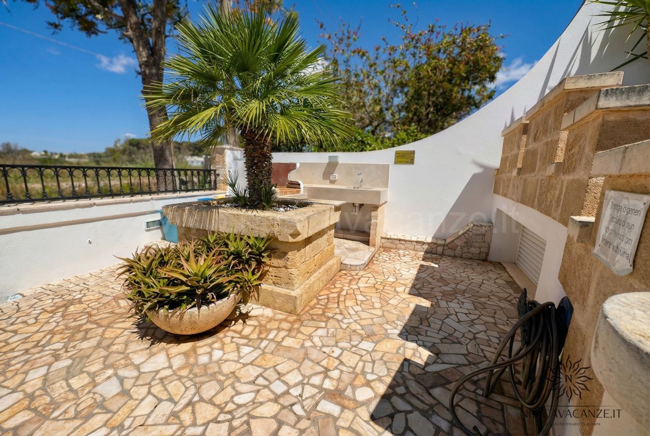 Casa Pescoluse 1 - area esterna con palma, lavabo in pietra e pavimento in mosaico di pietra