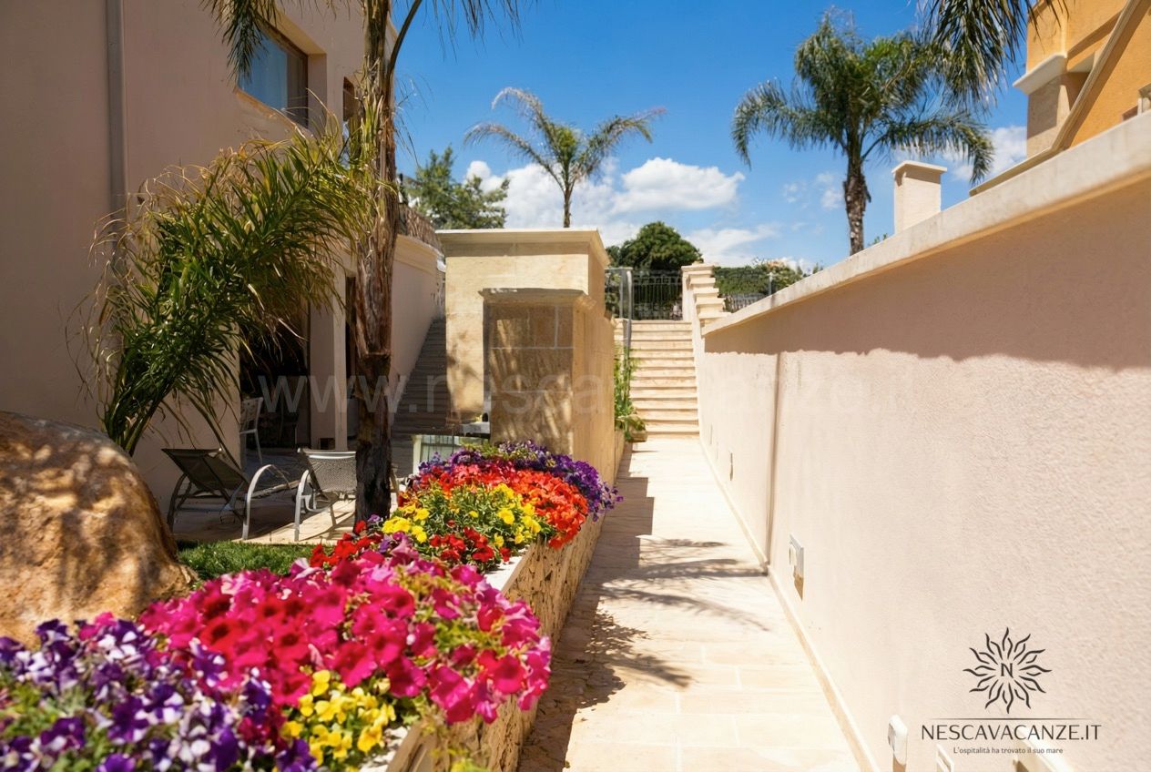 Casa Dune - percorso pedonale esterno con petunie colorate e muro in pietra chiara, palme e lettini visibili sullo sfondo