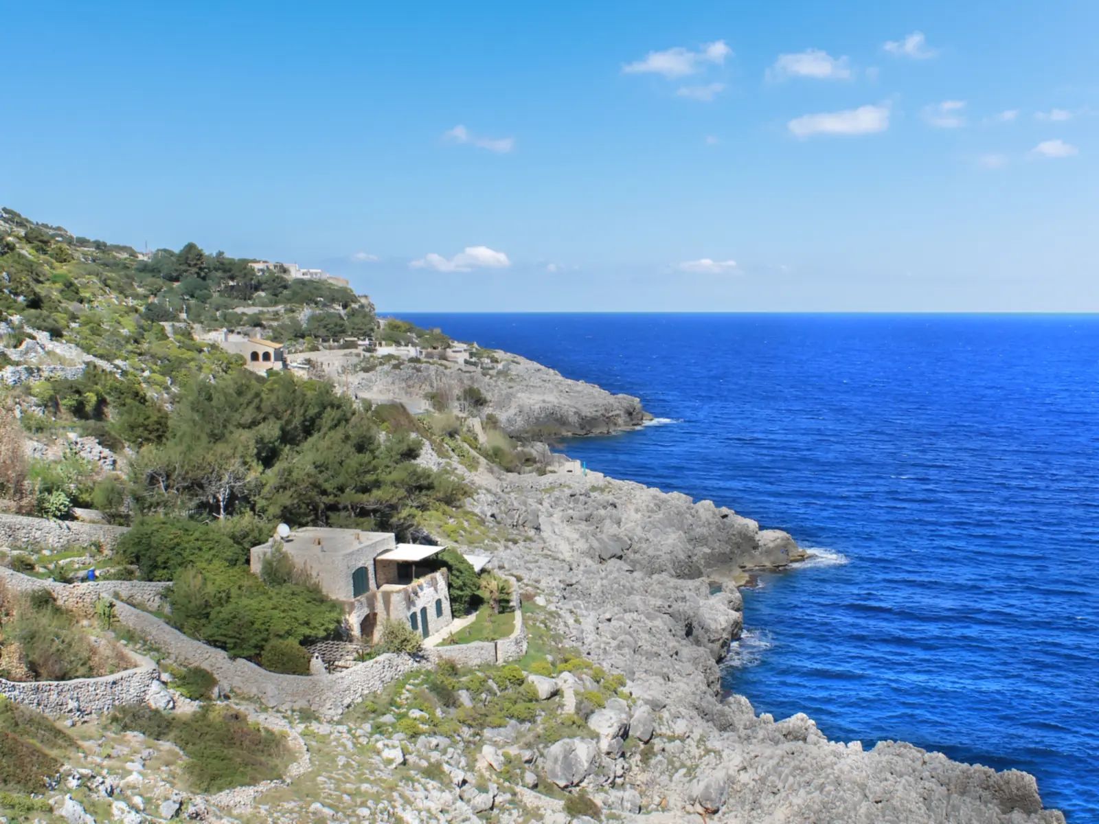 Costa alta vicino al Ciolo con muretti a secco, macchia mediterranea e scogliera sul mare