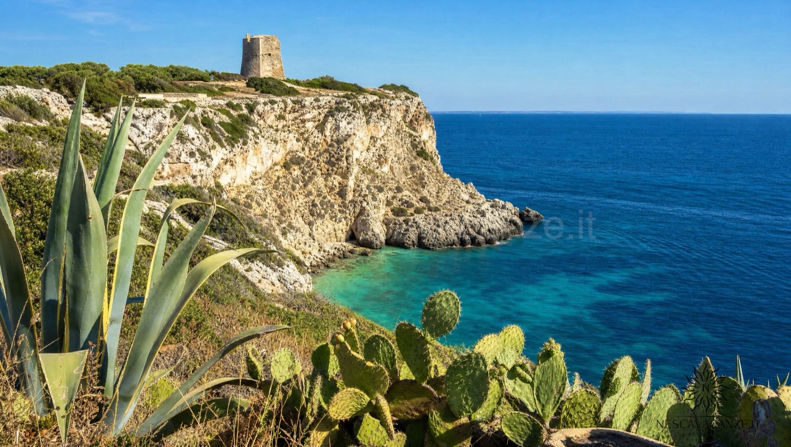 Sentiero sulla costa adriatica del Salento con un'antica torre costiera a picco su una caletta dal mare turchese, tra agavi e fichi d'India