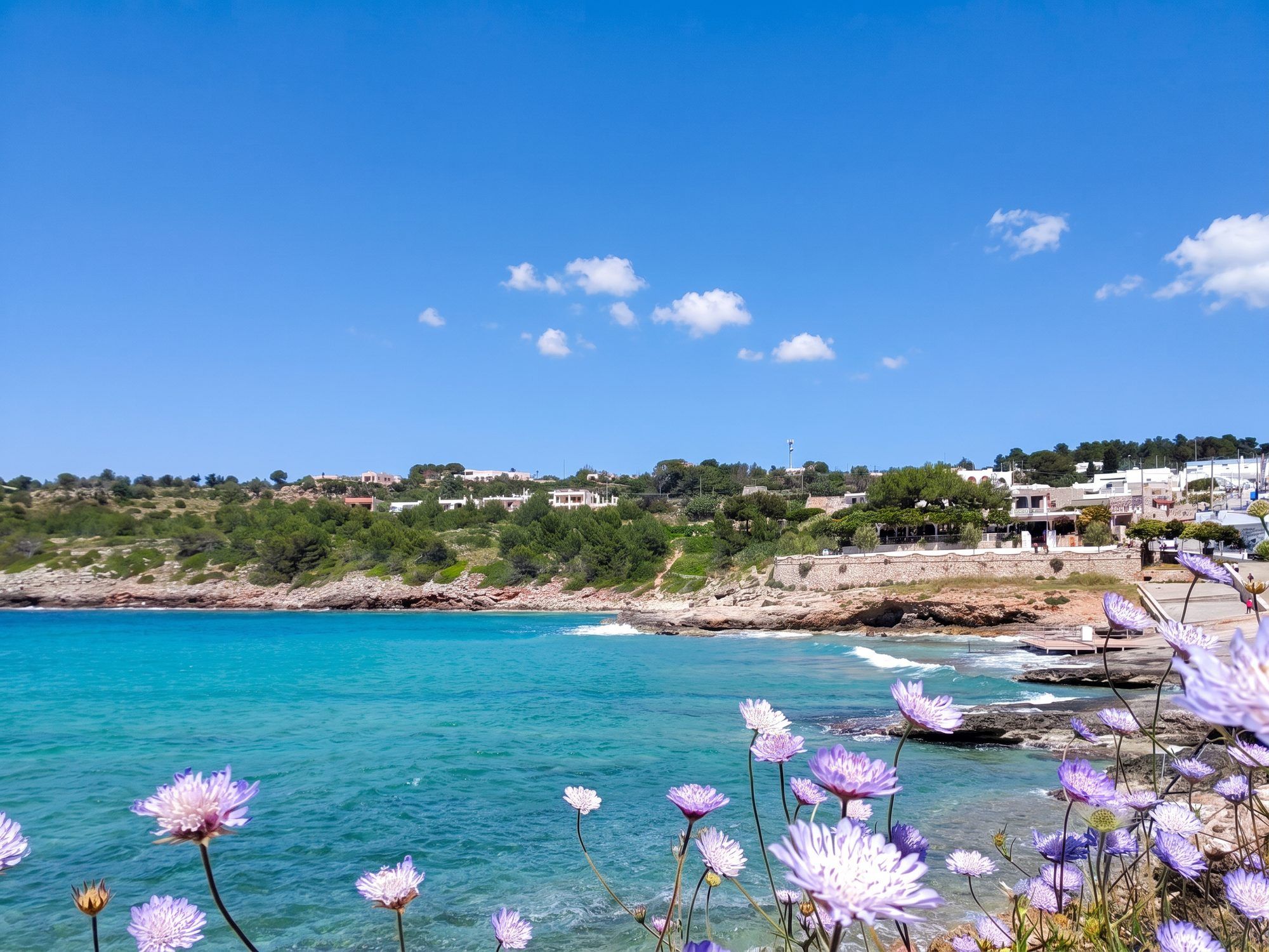 La baia di San Gregorio con l'acqua turchese e, davanti, i fiori lilla sulla costa