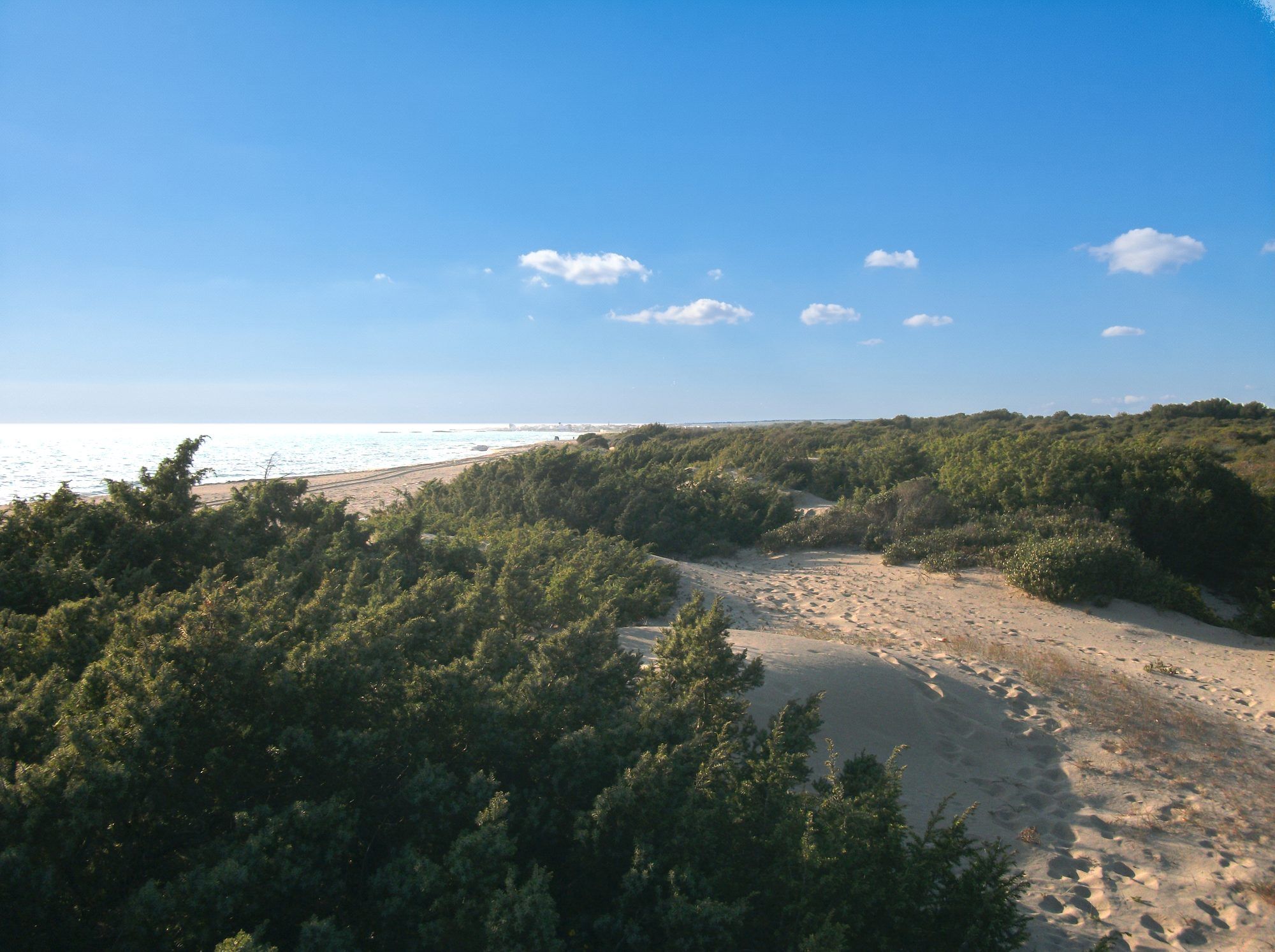 Il sentiero tra le dune del parco