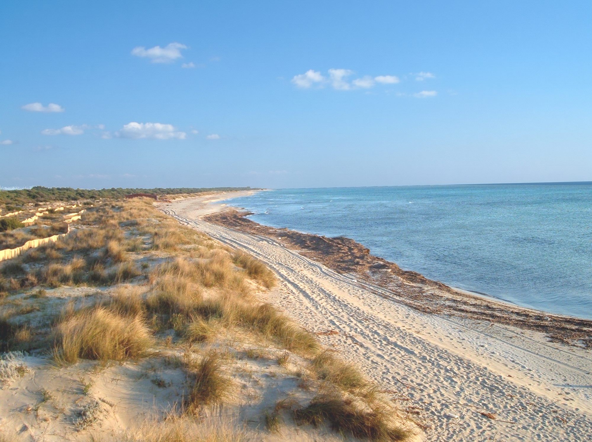 La lunga spiaggia di sabbia del litorale di Ugento con le dune e la macchia mediterranea