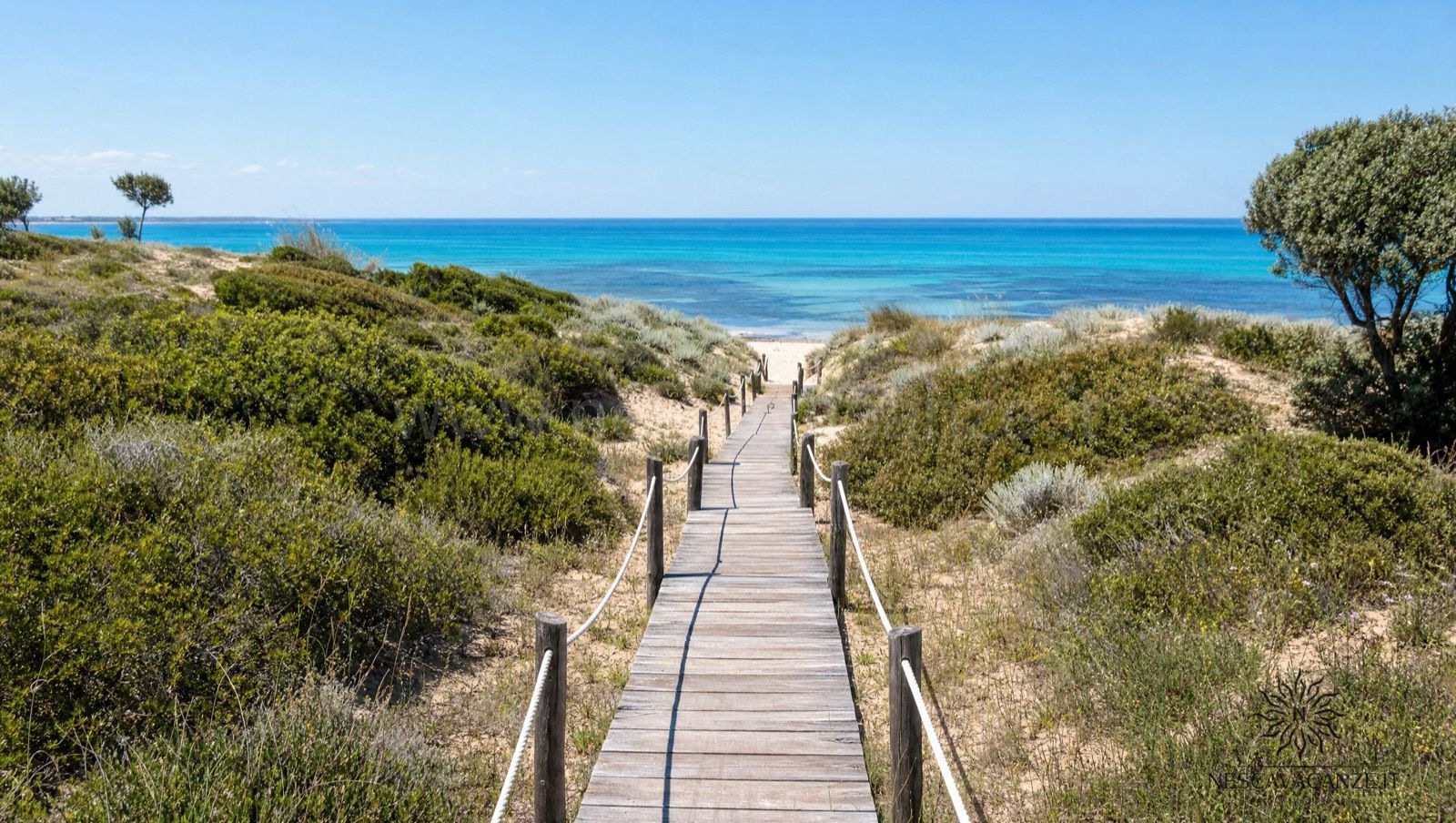 Passerella di legno tra le dune protette ricoperte di macchia mediterranea che conduce al mare turchese di Pescoluse