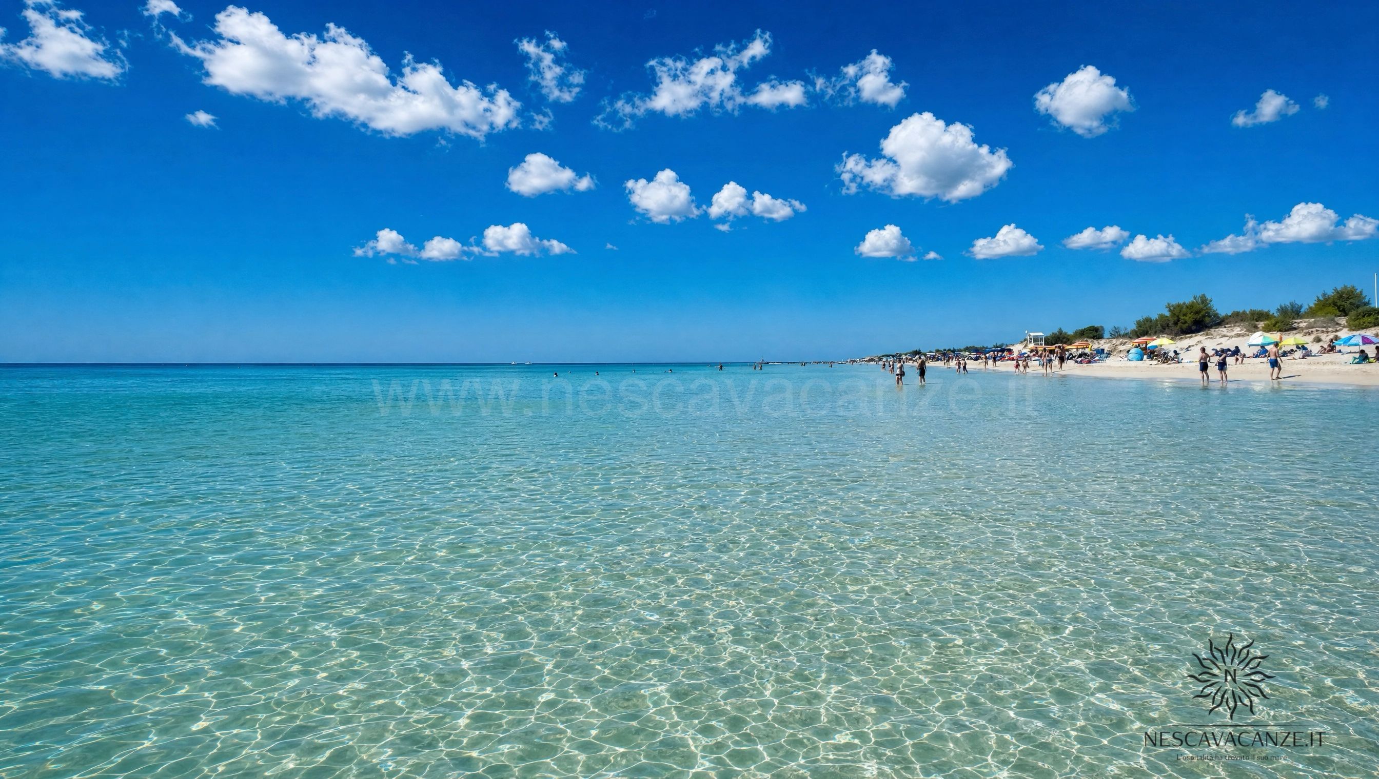 Acque basse e cristalline della spiaggia di Pescoluse