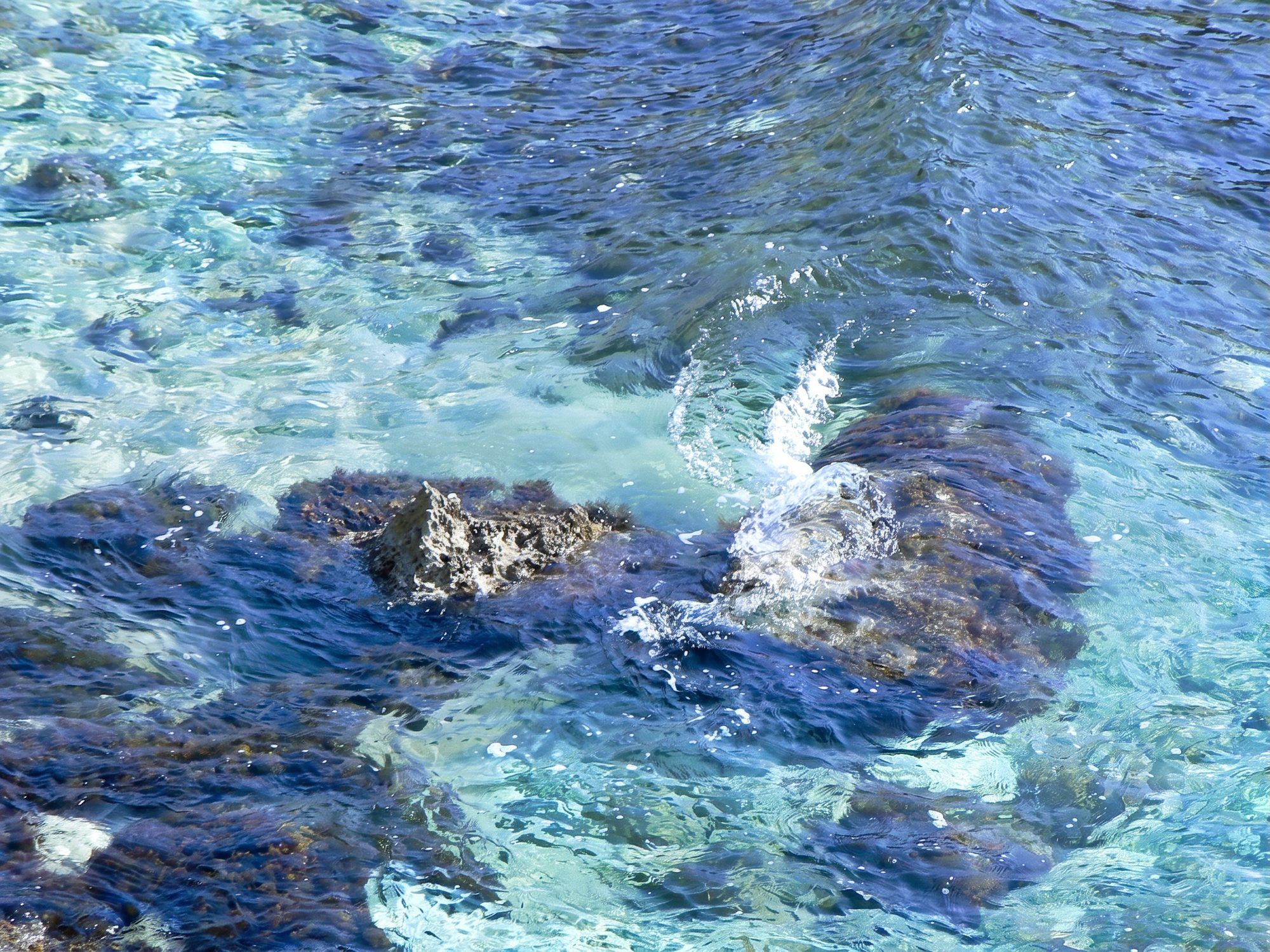L'acqua chiara della baia