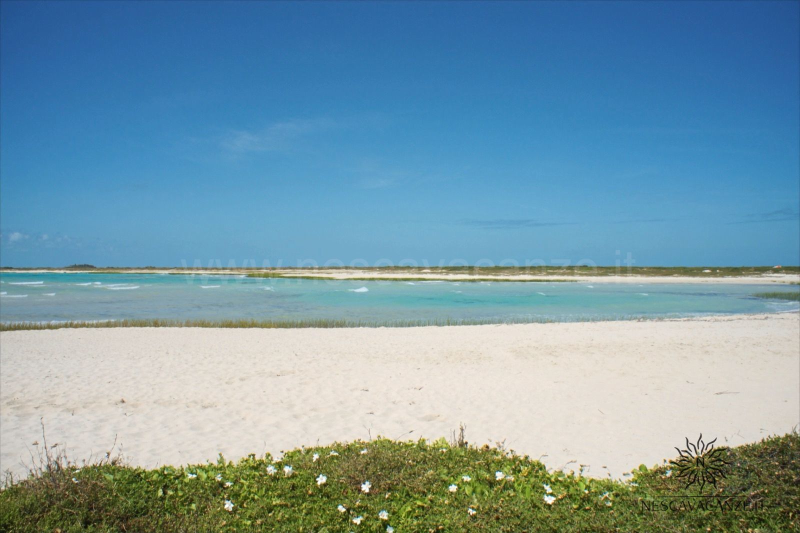 La spiaggia di sabbia bianca e acqua turchese di Pescoluse, le Maldive del Salento