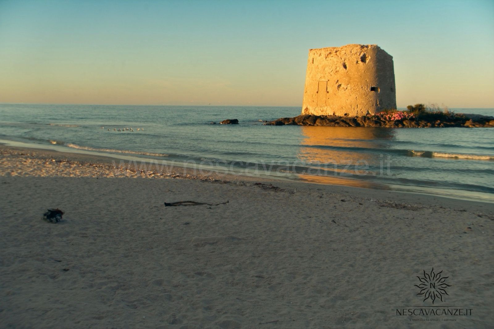 Torre Pali, antica torre costiera del Cinquecento su un isolotto davanti alla spiaggia di Pescoluse al tramonto