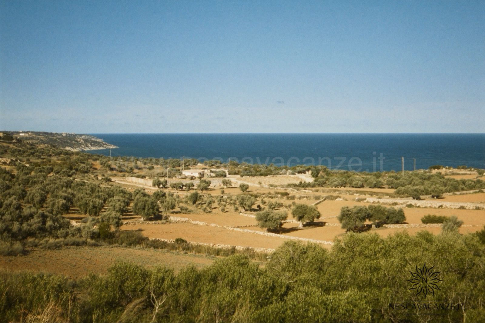 Uliveti secolari e muretti a secco della campagna di Salve che digradano verso il mare a Pescoluse