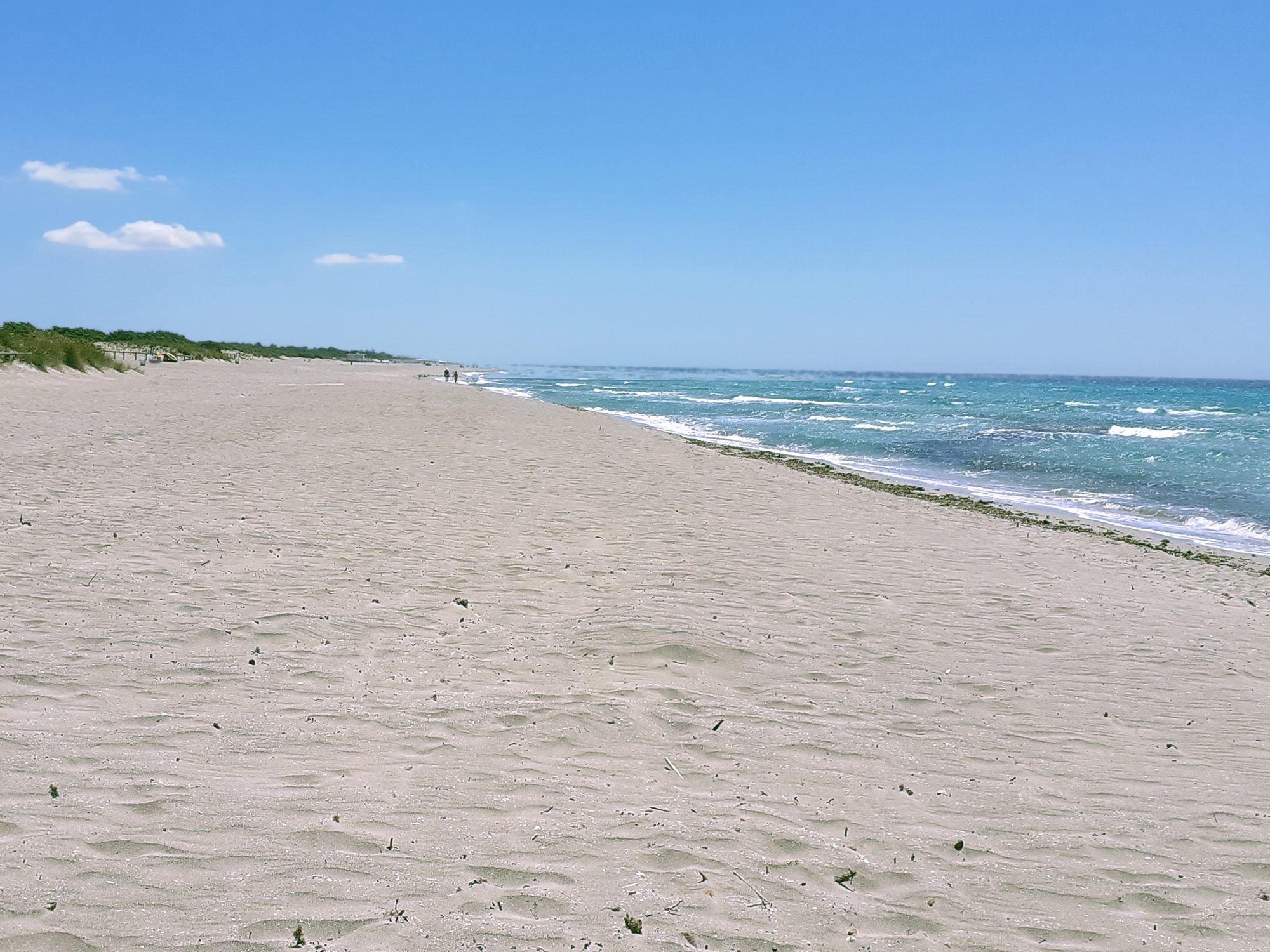 Spiaggia larga di sabbia chiara con il mare mosso e la vegetazione bassa alle spalle