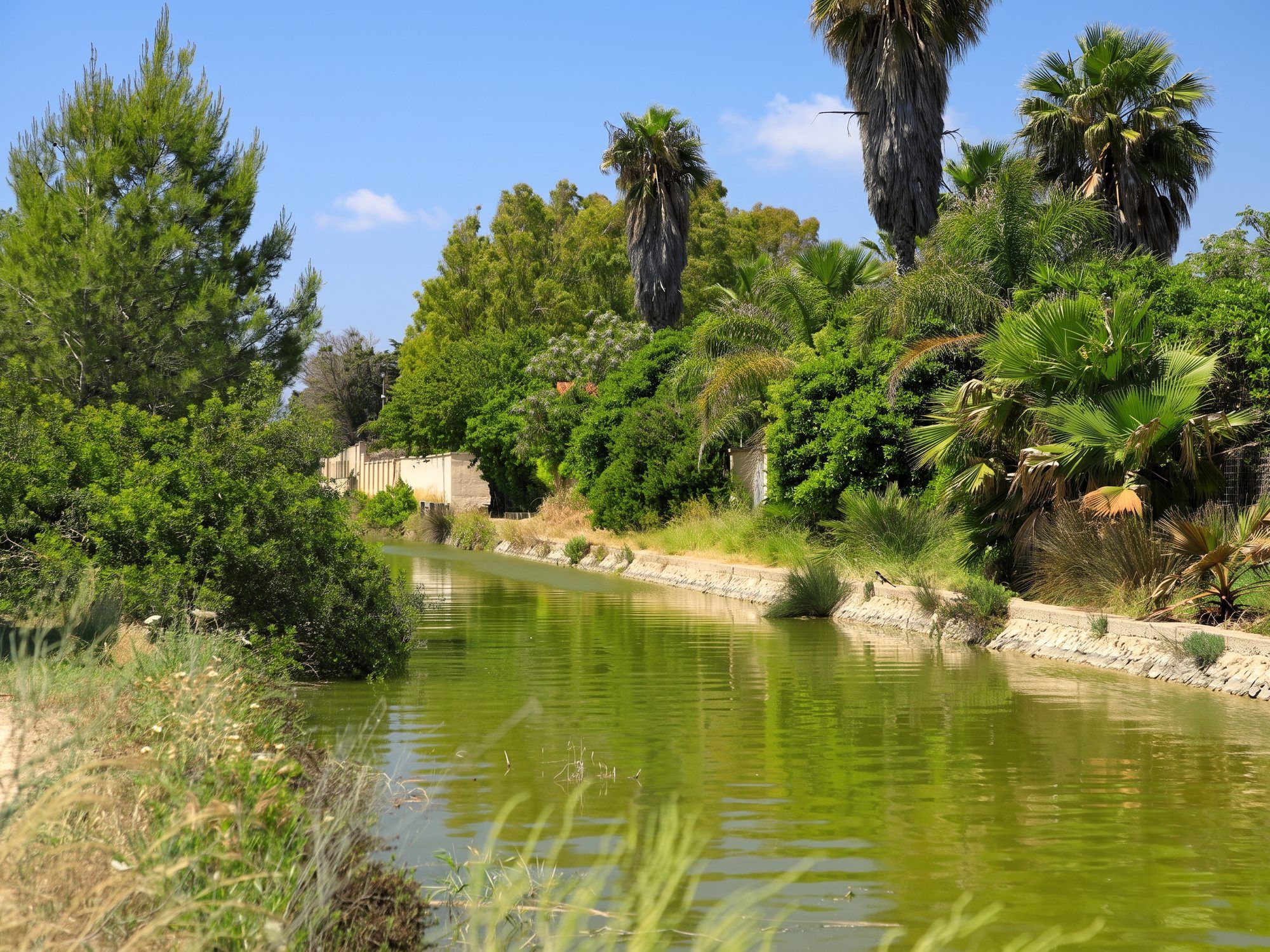 Lungo il canale, dal mare ai bacini