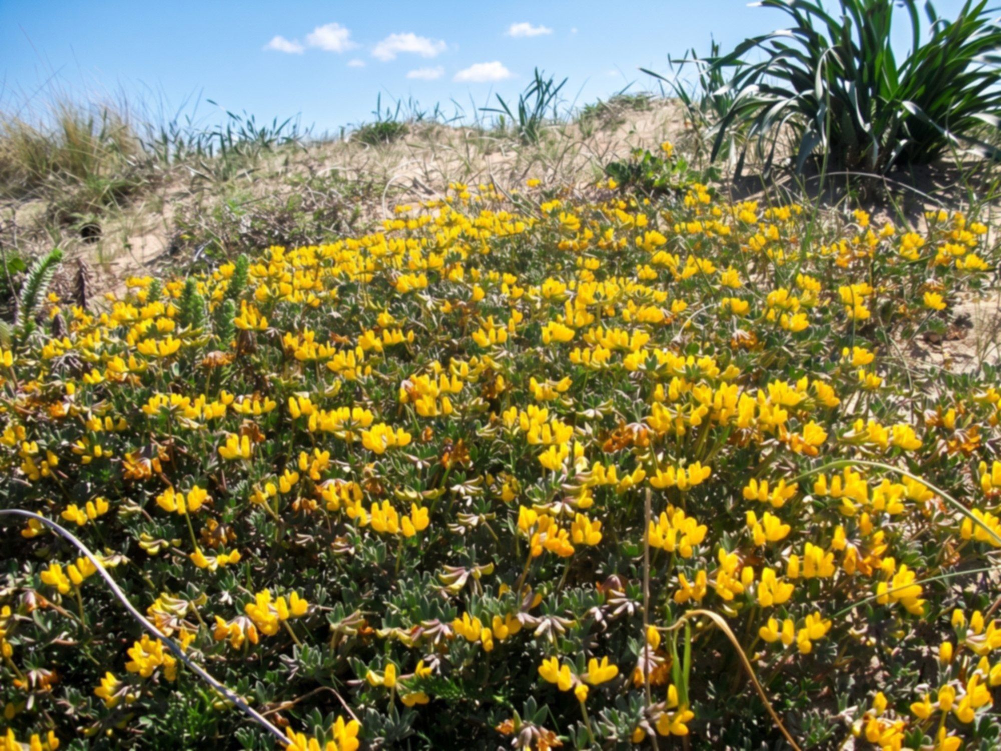 Il Sentiero dei Bacini, nel parco