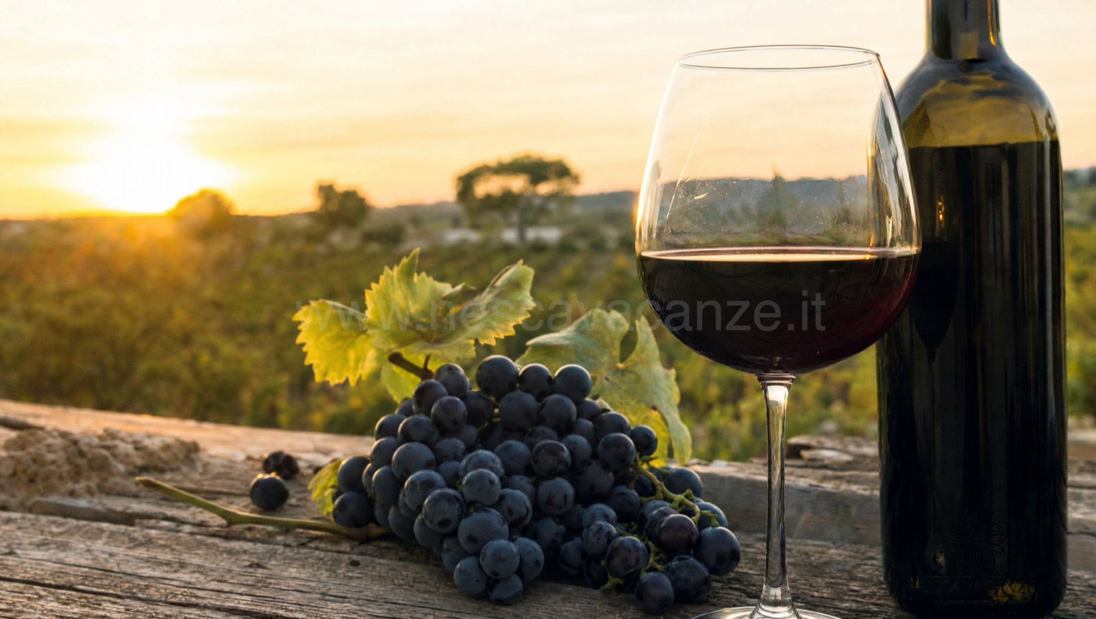 Calice di Negroamaro, vino rosso scuro del Salento, accanto a un grappolo di uva nera matura e a una bottiglia, su un tavolo di legno al tramonto con i vigneti sullo sfondo